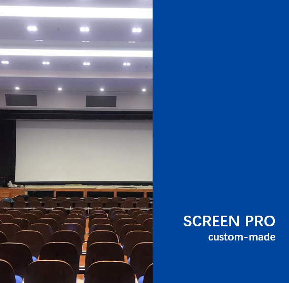 Case Study: Motorized Stage Screen Installation